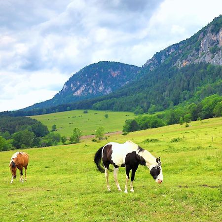 Glamping Hohe Wand - Zelt Mit Sternenfenster Und Whirlpool Hotell Maiersdorf Eksteriør bilde